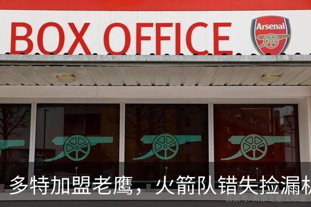 多特加盟老鹰，火箭队错失捡漏机会？专家分析：斯通未出手太可惜