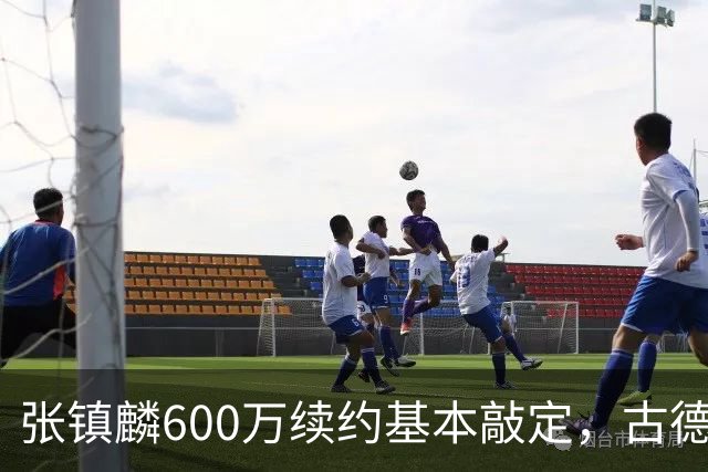 张镇麟600万续约基本敲定，古德温倾向续留，弗格或任助理教练，这支上海久事的魄力，真的是要冲击CBA总冠军吗