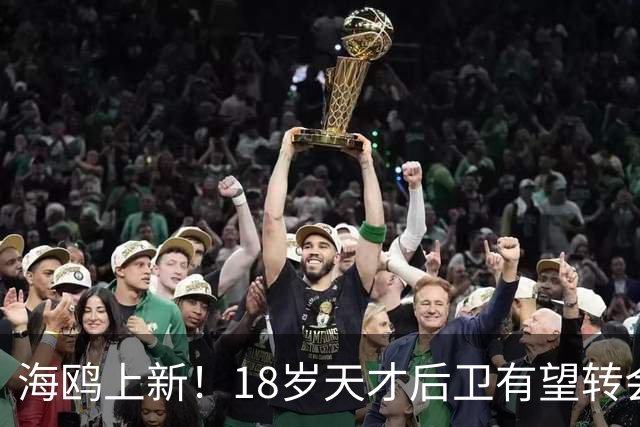 海鸥上新！18岁天才后卫有望转会英格兰，天赋顶级布莱顿要买